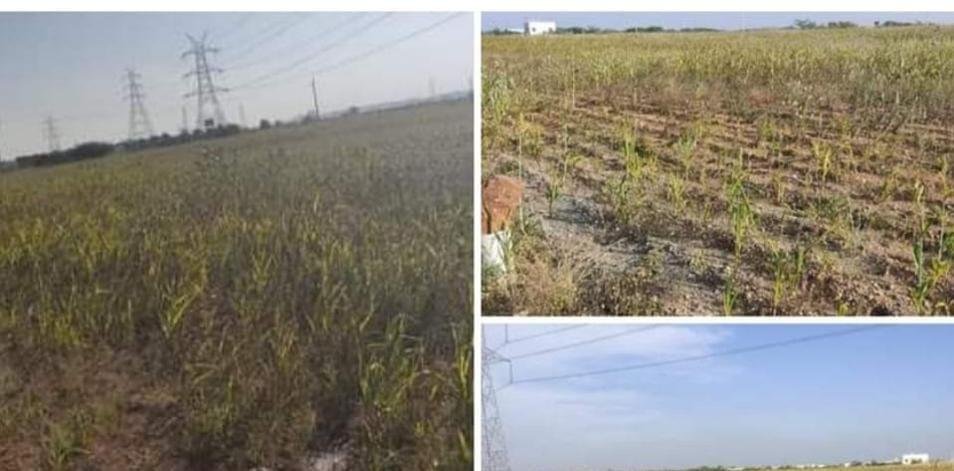 WhatsApp-Image-2023-01-27-at-10.52.39-AM