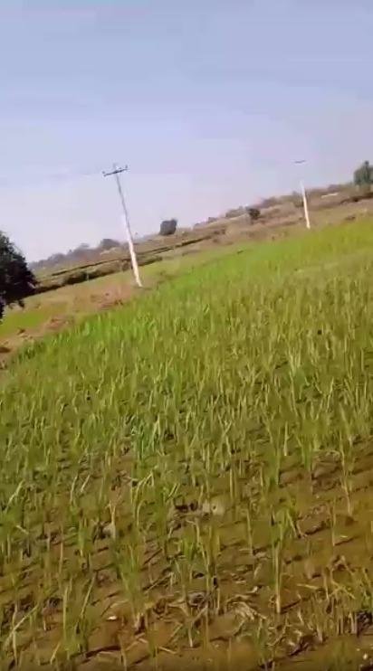 WhatsApp-Image-2023-01-27-at-10.55.03-AM