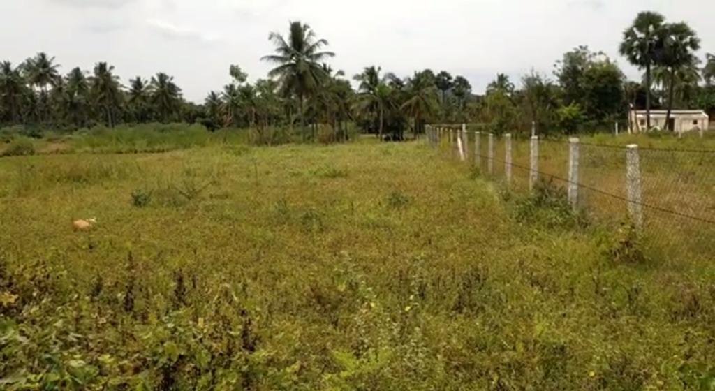 WhatsApp-Image-2023-01-27-at-2.48.10-PM