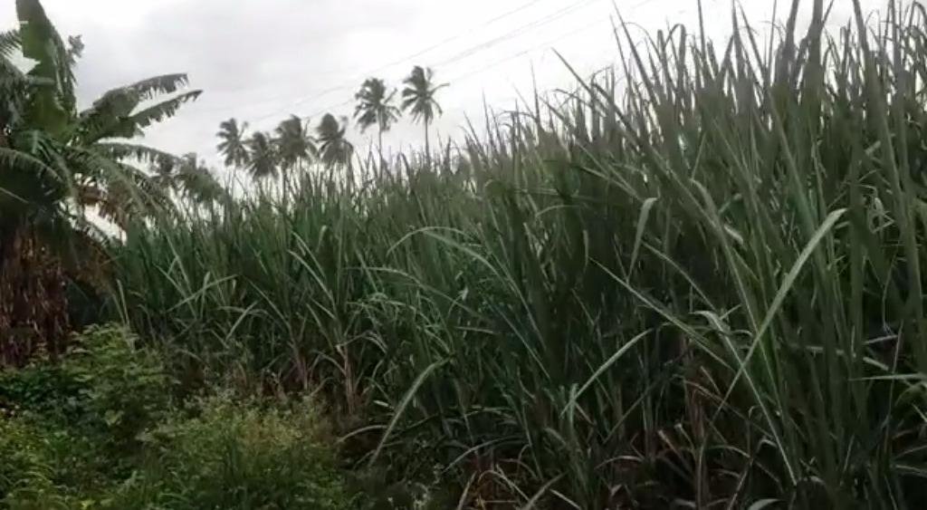 WhatsApp-Image-2023-01-27-at-2.55.56-PM