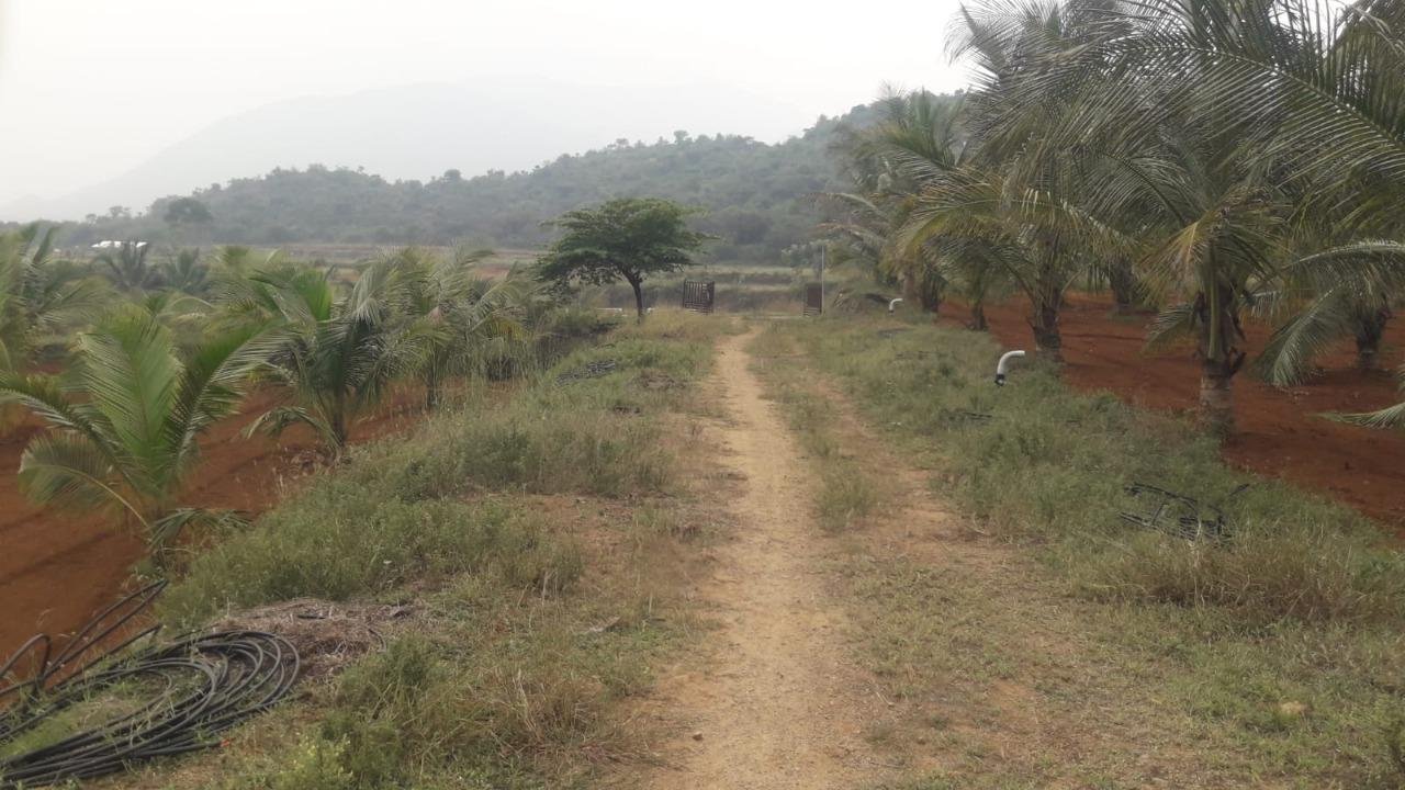 WhatsApp-Image-2023-01-27-at-3.00.16-PM