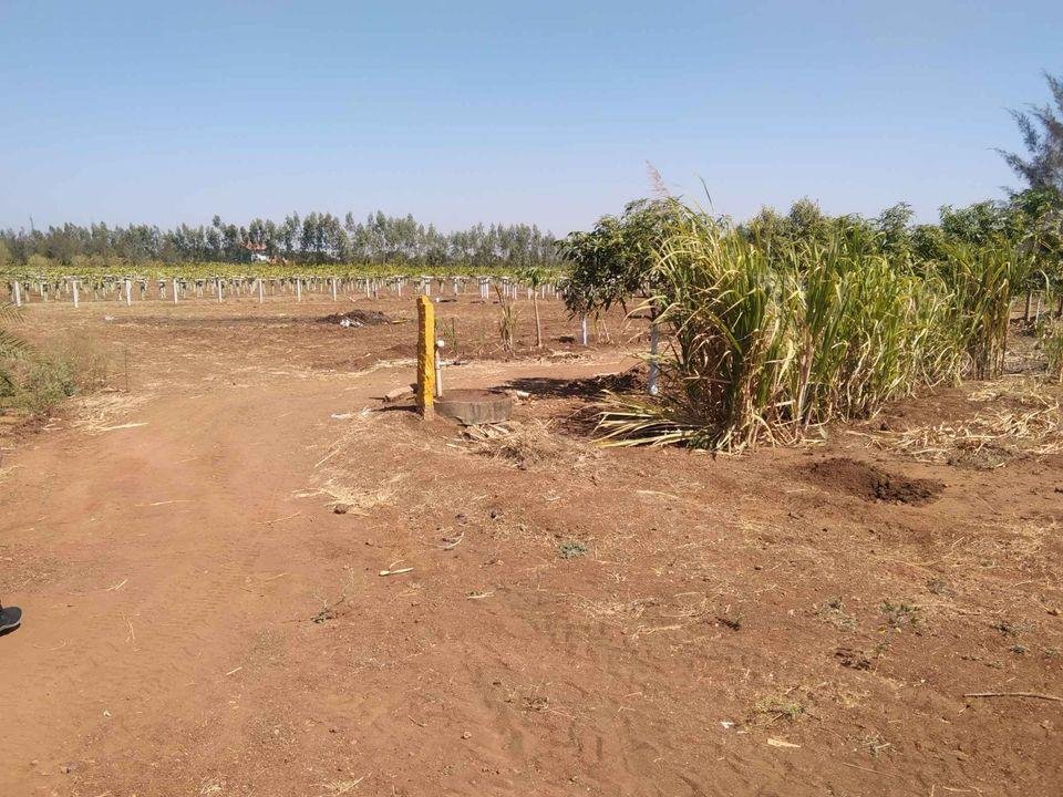 WhatsApp-Image-2023-01-28-at-12.02.22-PM