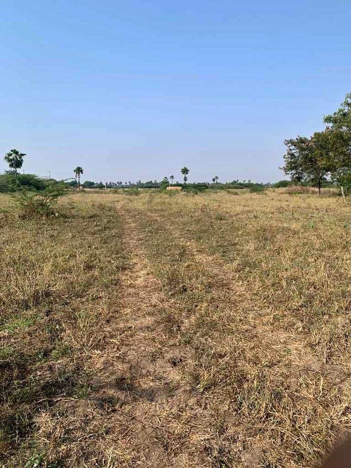 WhatsApp-Image-2023-01-30-at-10.44.12-AM