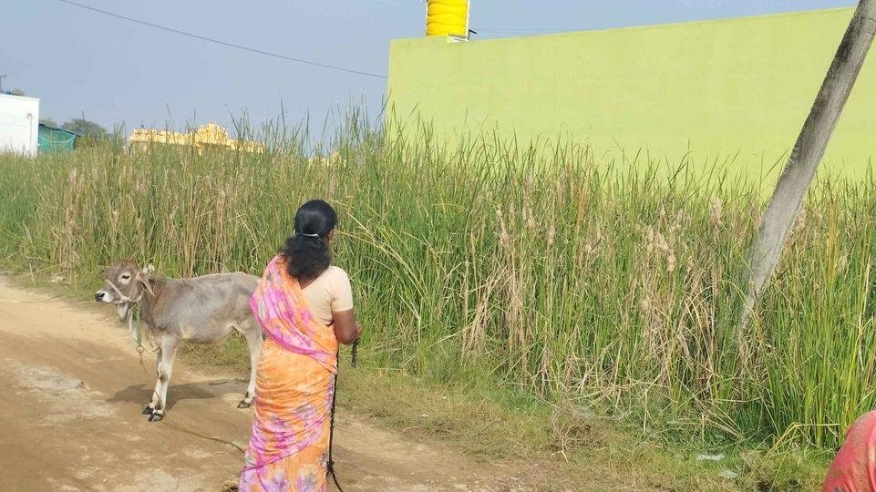 WhatsApp-Image-2023-01-31-at-10.19.35-AM