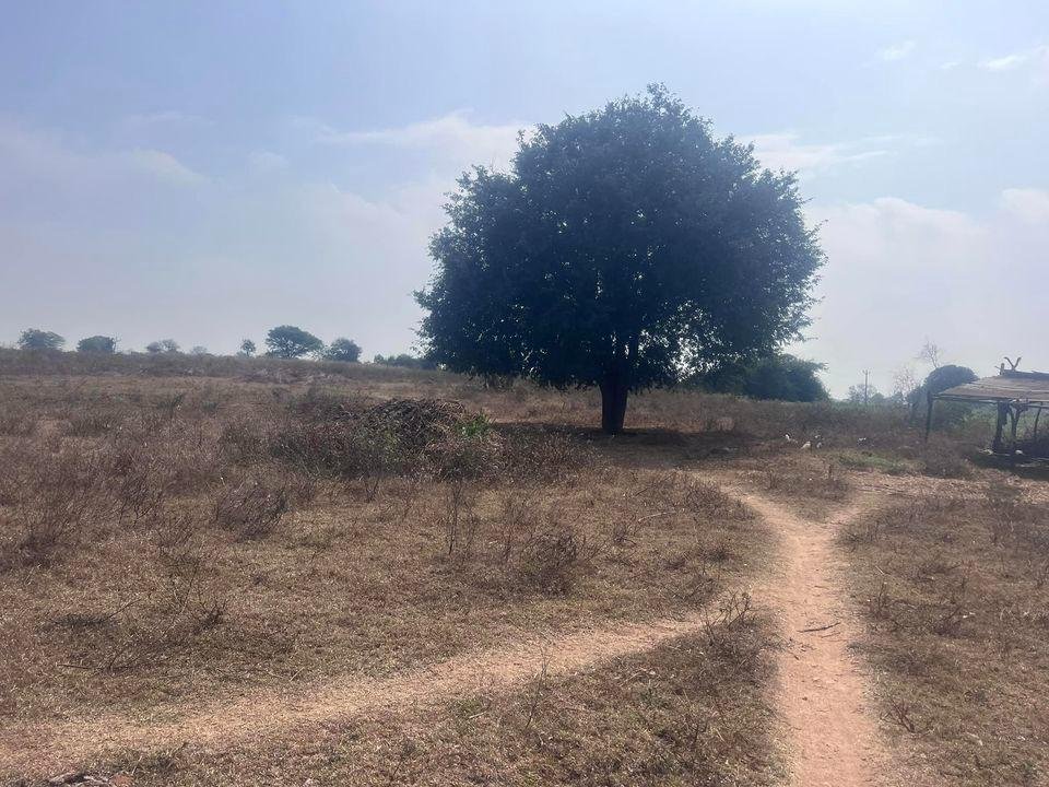 WhatsApp-Image-2023-01-31-at-10.32.51-AM