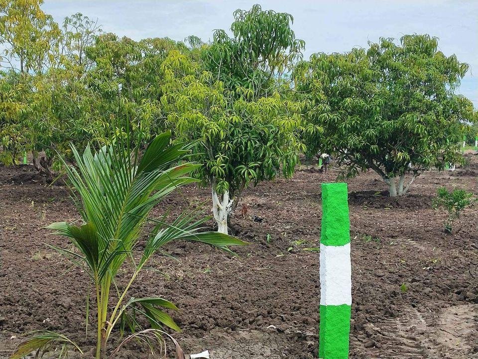 WhatsApp-Image-2023-01-31-at-11.31.16-AM