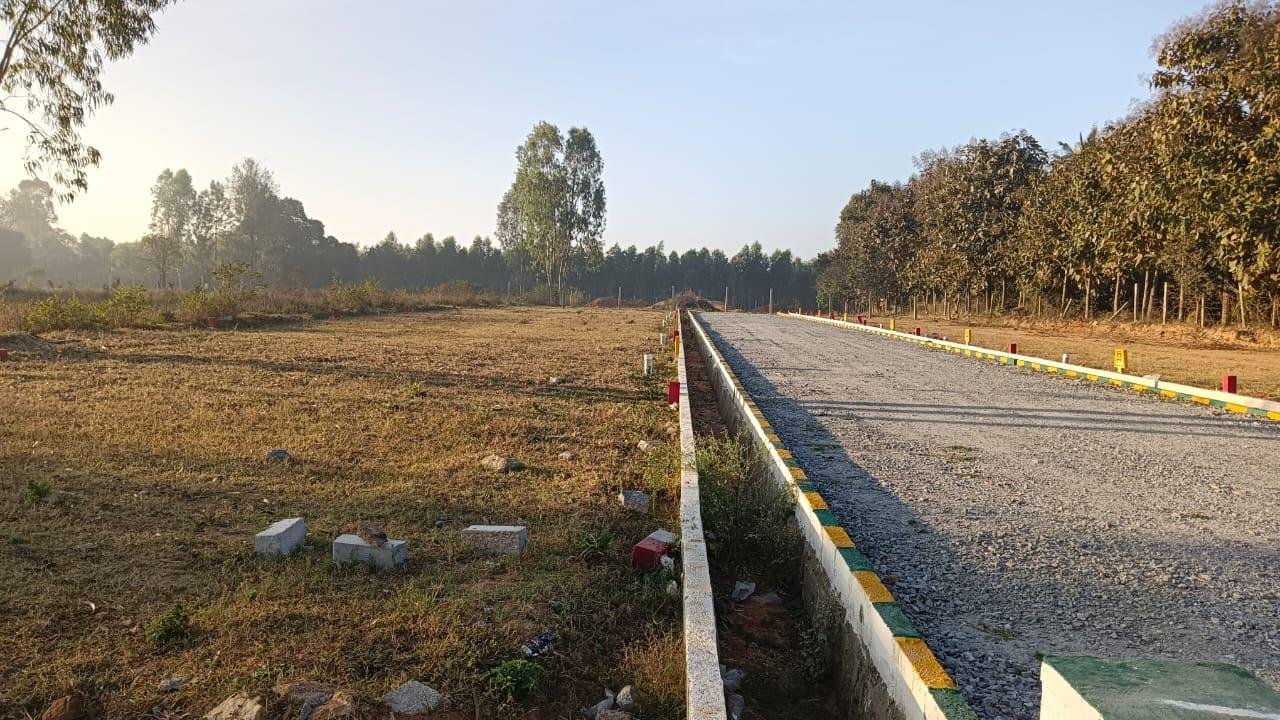 68576554-6b60-4fdc-bc93-aaad3f165d41