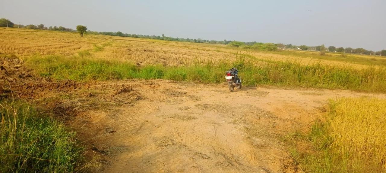 WhatsApp-Image-2023-01-26-at-10.48.27-AM-1