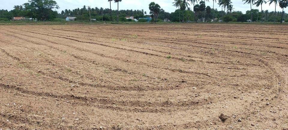 WhatsApp-Image-2023-01-31-at-4.25.51-PM