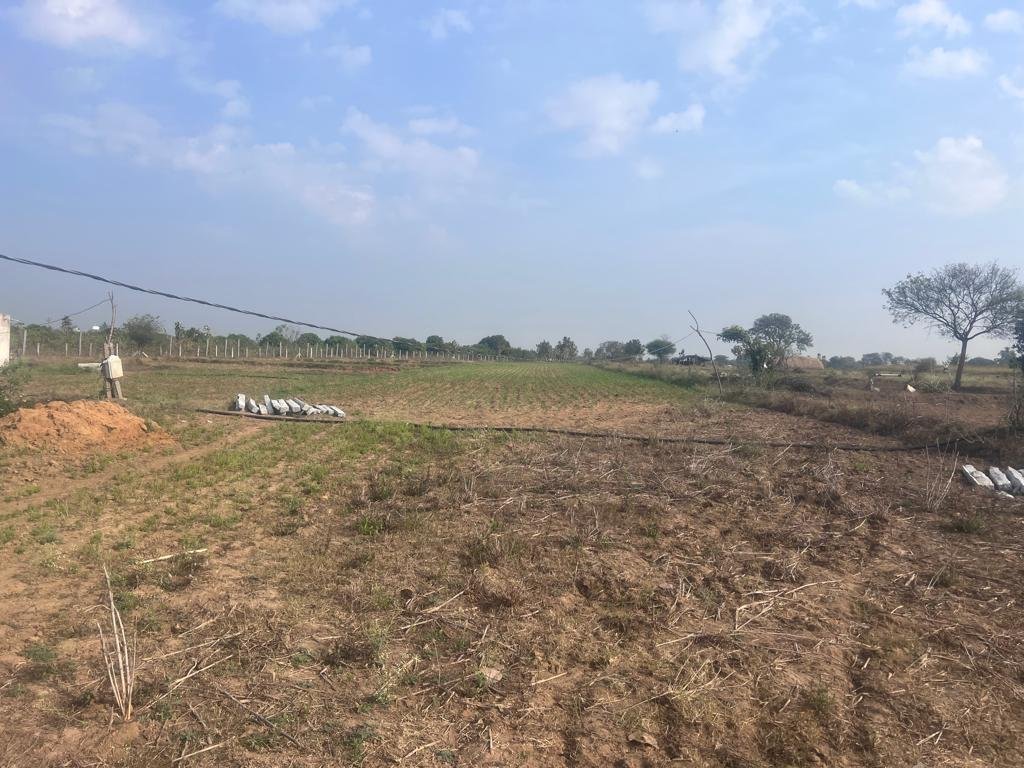 WhatsApp-Image-2023-01-31-at-4.53.46-PM-2