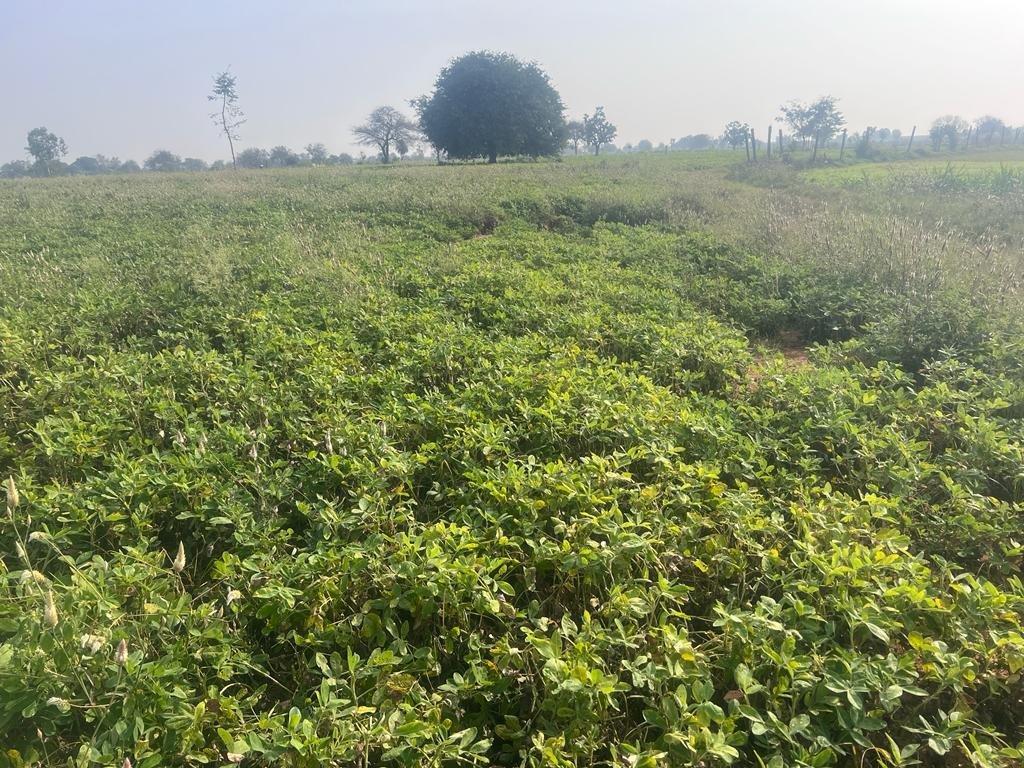 WhatsApp-Image-2023-01-31-at-4.54.08-PM