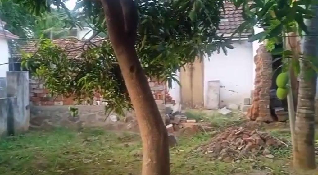 WhatsApp-Image-2023-02-01-at-10.31.00-AM