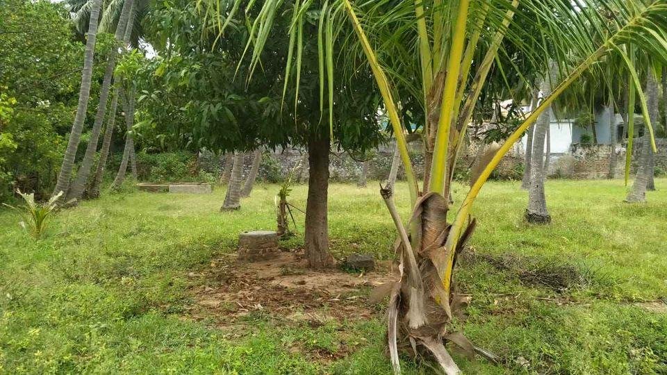 WhatsApp-Image-2023-02-01-at-10.34.42-AM