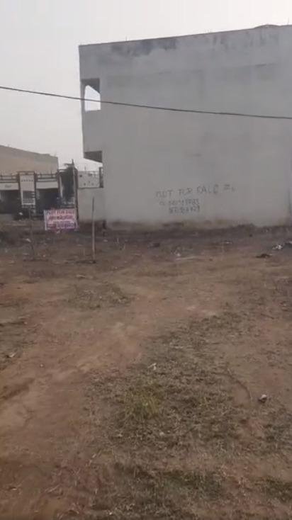 WhatsApp-Image-2023-02-01-at-11.03.22-AM