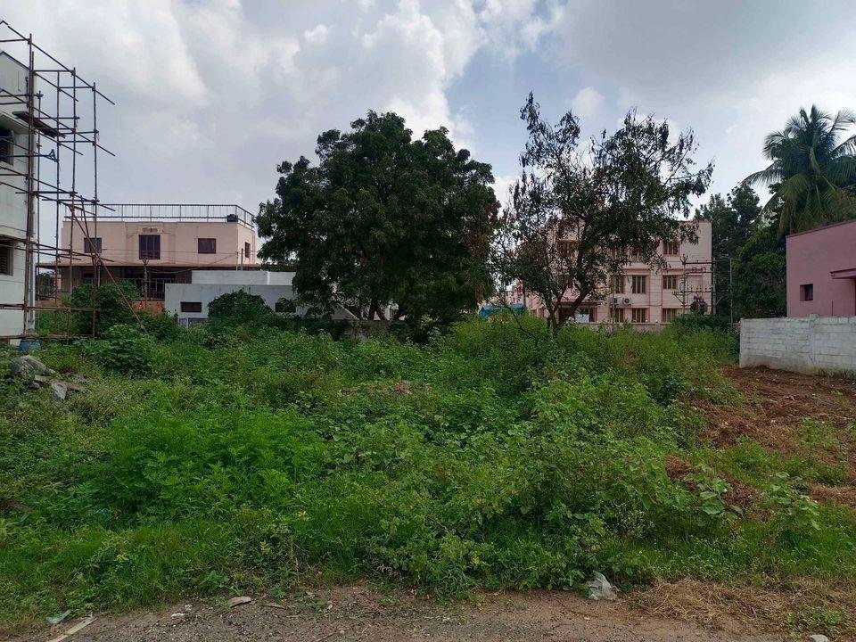 WhatsApp-Image-2023-02-01-at-3.15.22-PM