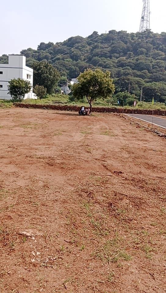 WhatsApp-Image-2023-02-01-at-3.27.21-PM