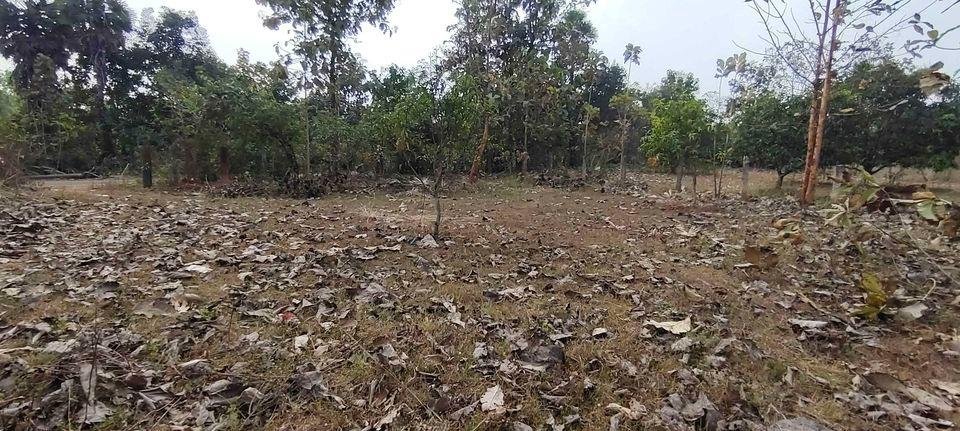 WhatsApp-Image-2023-02-02-at-11.44.02-AM