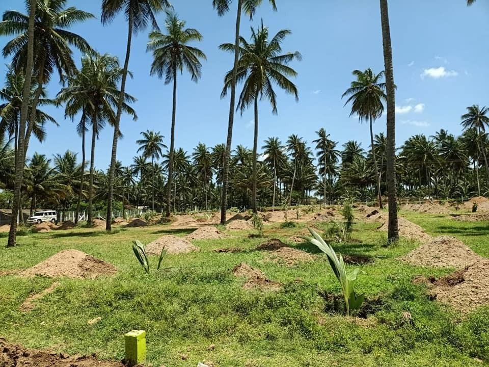 WhatsApp-Image-2023-02-02-at-12.35.47-PM