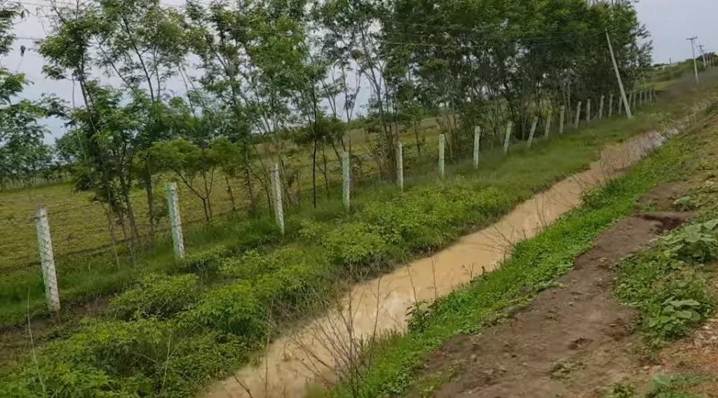 WhatsApp-Image-2023-02-02-at-2.41.32-PM