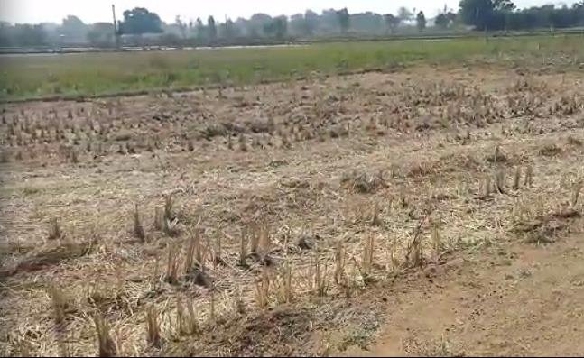 WhatsApp-Image-2023-02-02-at-3.44.09-PM