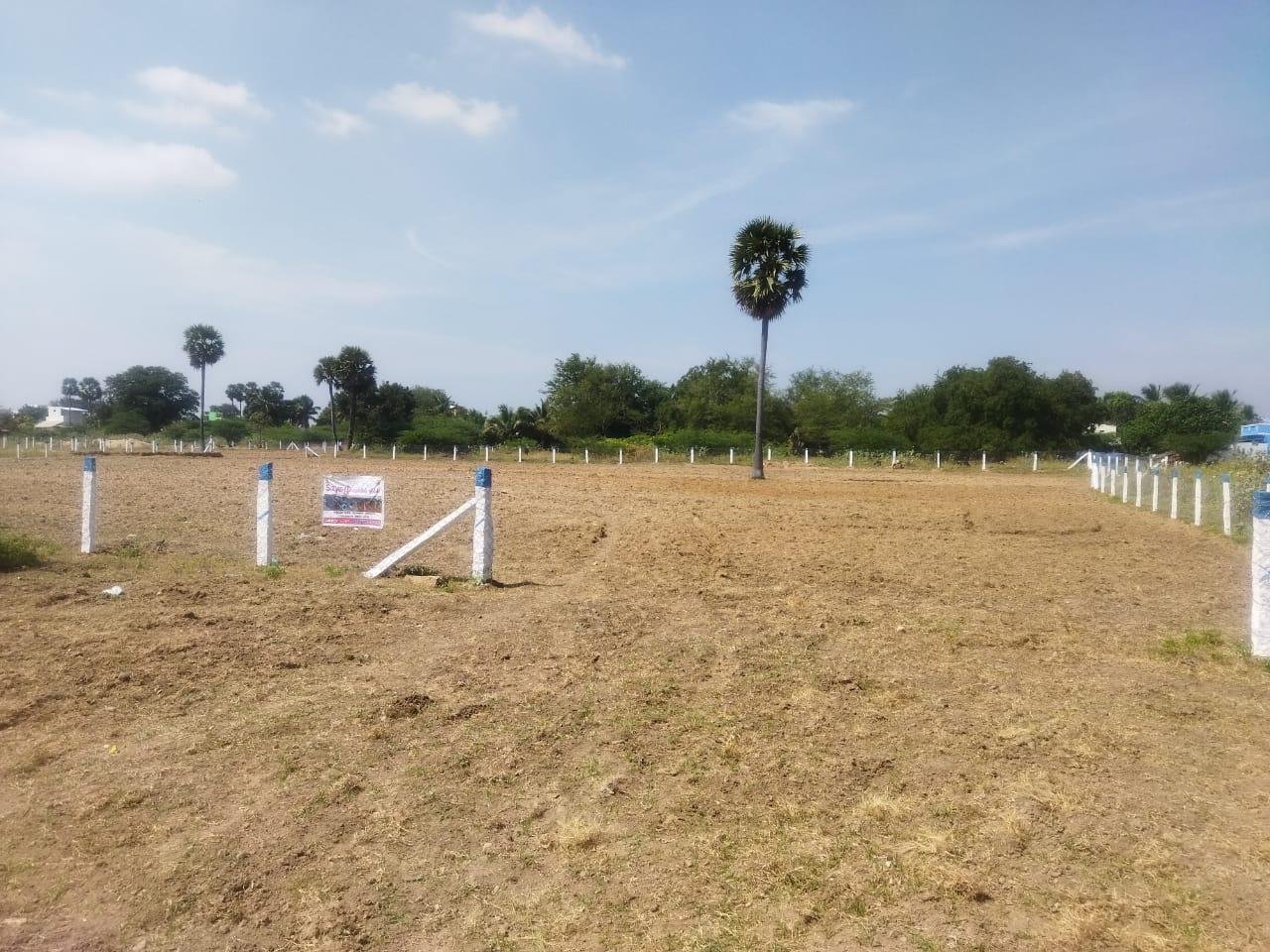 WhatsApp-Image-2023-02-02-at-7.49.31-AM