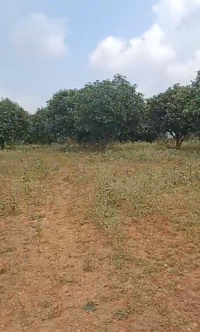 WhatsApp-Image-2023-02-03-at-10.49.49-AM