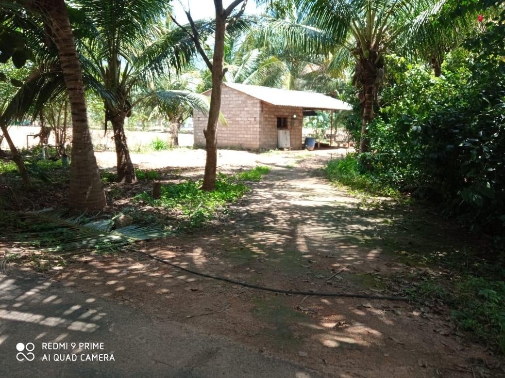 WhatsApp-Image-2023-02-03-at-11.02.41-AM