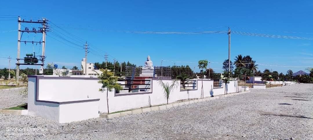 WhatsApp-Image-2023-02-03-at-14.52.50