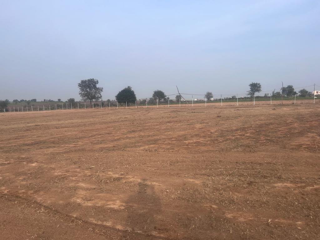 WhatsApp-Image-2023-02-03-at-7.19.50-PM