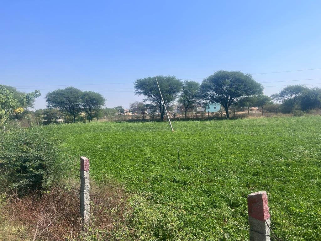 WhatsApp-Image-2023-02-04-at-12.30.48-PM