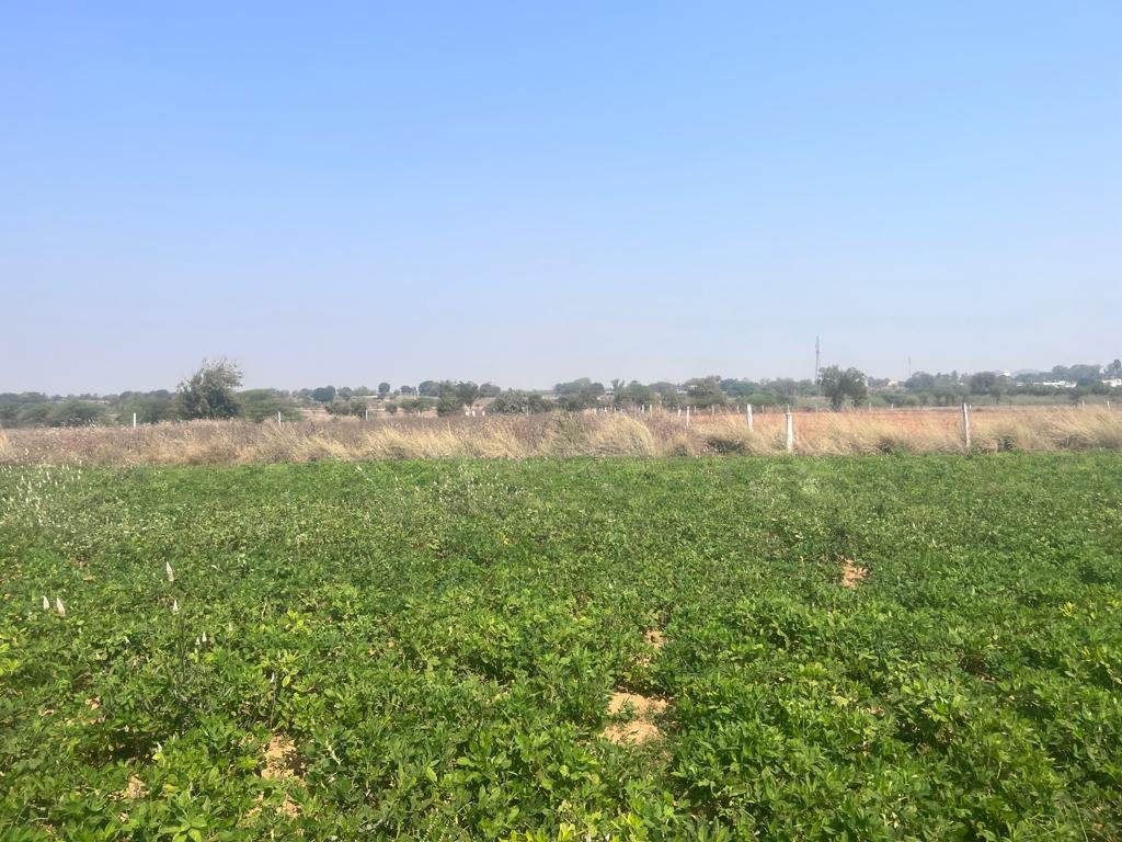 WhatsApp-Image-2023-02-06-at-10.30.20-PM