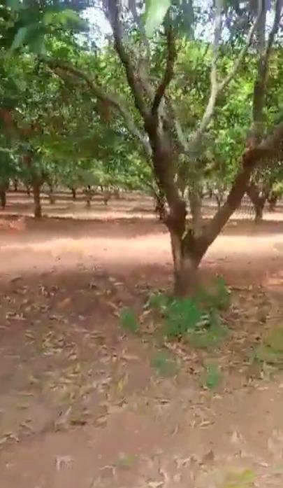 WhatsApp-Image-2023-02-07-at-10.46.19-AM