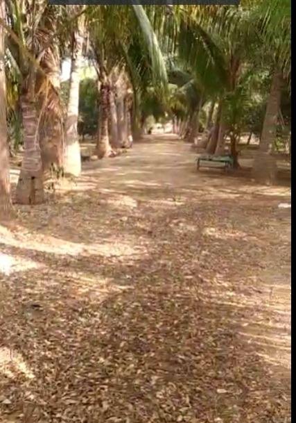 WhatsApp-Image-2023-02-07-at-2.44.38-PM