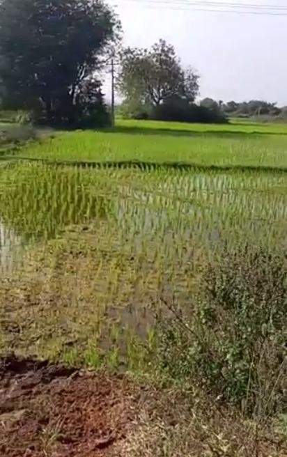 WhatsApp-Image-2023-02-07-at-3.03.32-PM