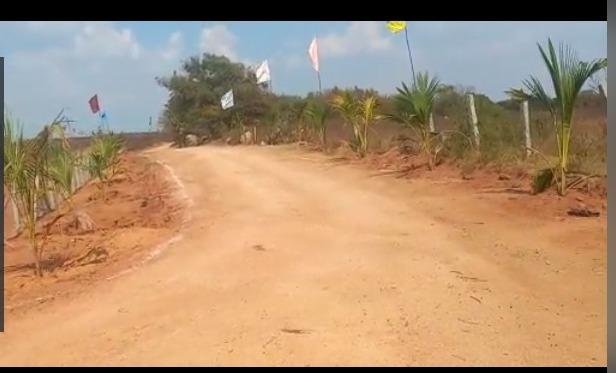 WhatsApp-Image-2023-02-08-at-10.42.08-AM