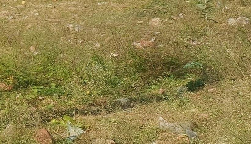 WhatsApp-Image-2023-02-08-at-10.43.49-AM