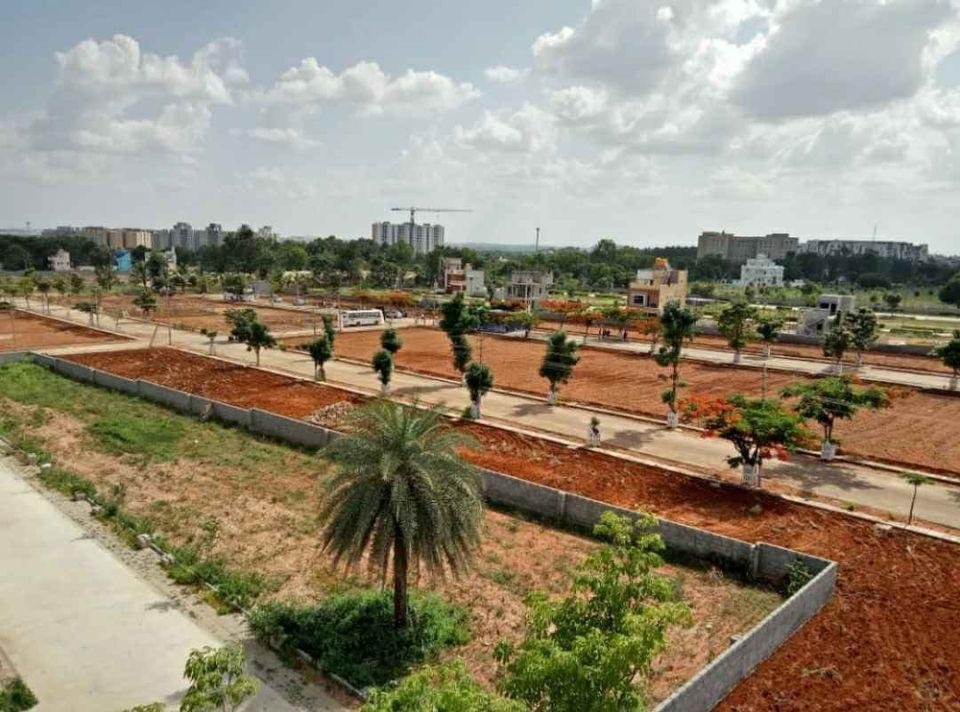 WhatsApp-Image-2023-02-08-at-11.24.37-AM