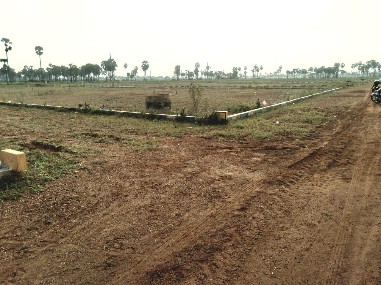 WhatsApp-Image-2023-02-08-at-9.20.36-PM