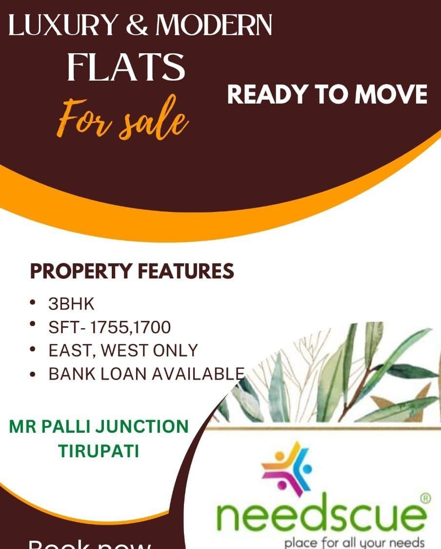 WhatsApp-Image-2023-02-09-at-4.59.31-PM