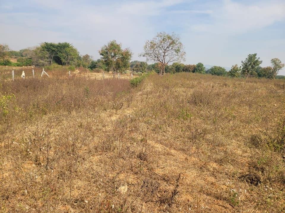 WhatsApp-Image-2023-02-10-at-12.25.15-PM