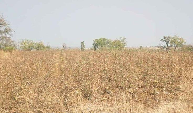 WhatsApp-Image-2023-02-10-at-2.31.13-PM