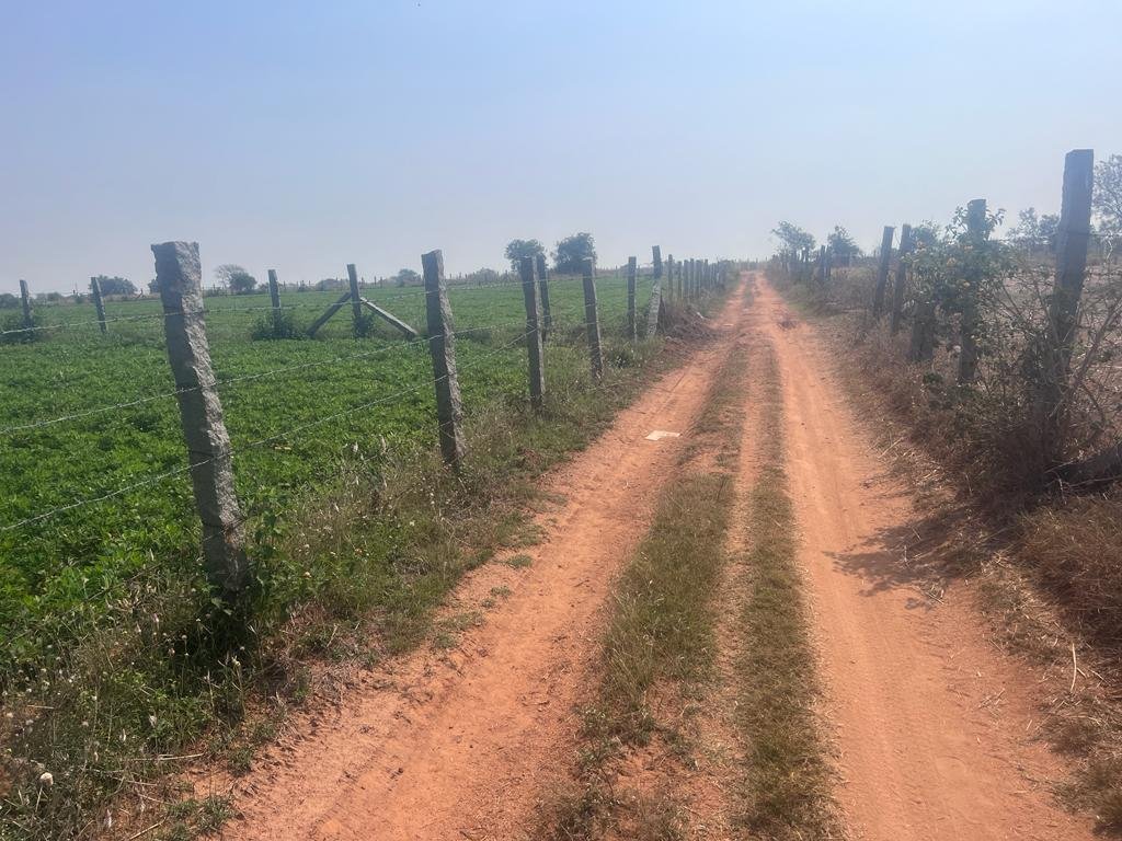 WhatsApp-Image-2023-02-10-at-9.51.03-AM