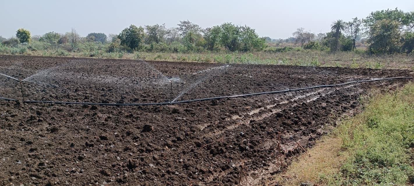 WhatsApp-Image-2023-02-11-at-10.33.48-AM