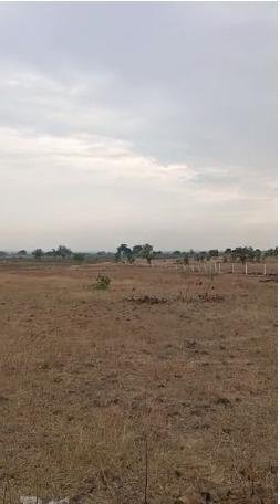 WhatsApp-Image-2023-02-13-at-10.38.36-AM-2