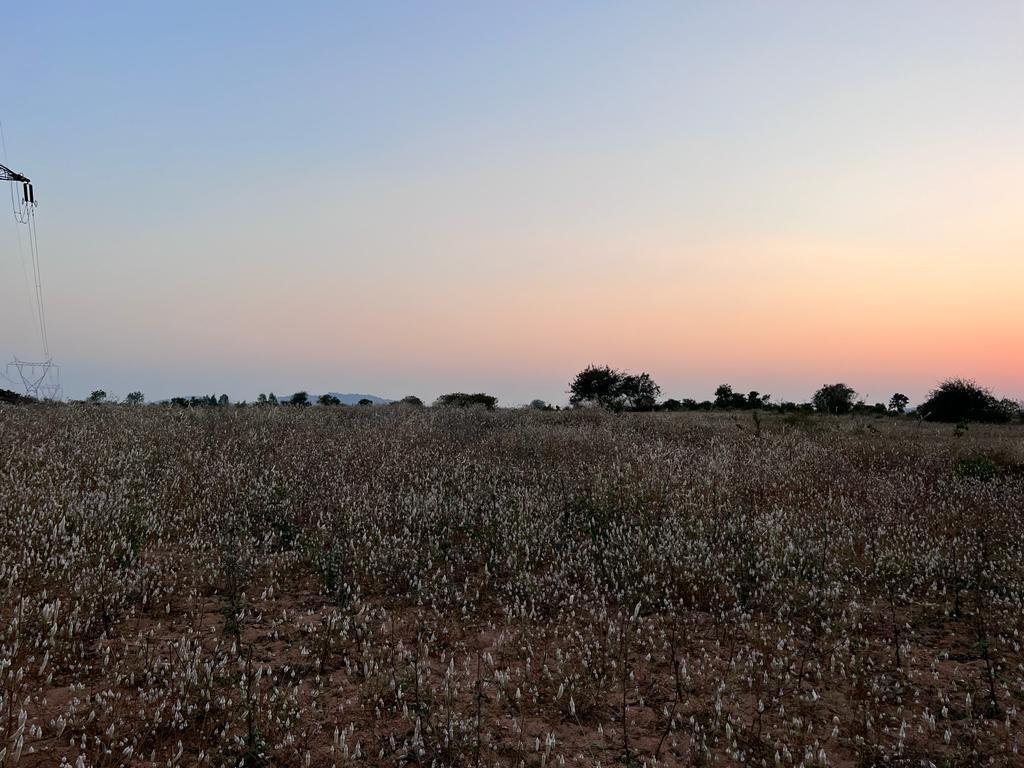 WhatsApp-Image-2023-02-19-at-8.17.42-PM