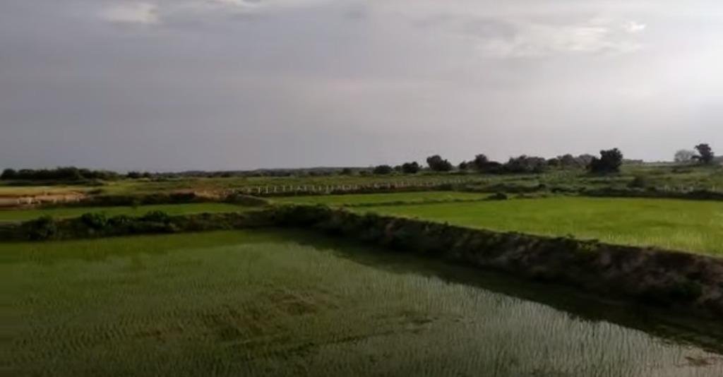 WhatsApp-Image-2023-02-20-at-11.00.18-AM