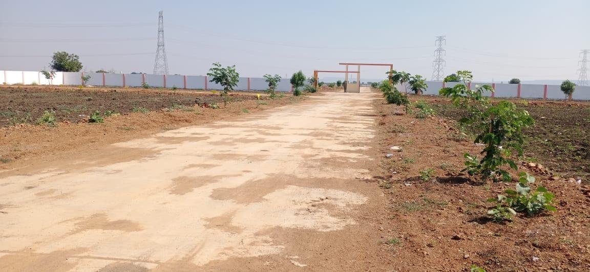 WhatsApp-Image-2023-02-20-at-3.51.15-PM