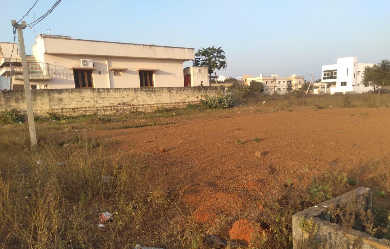 WhatsApp-Image-2023-02-20-at-7.24.58-AM