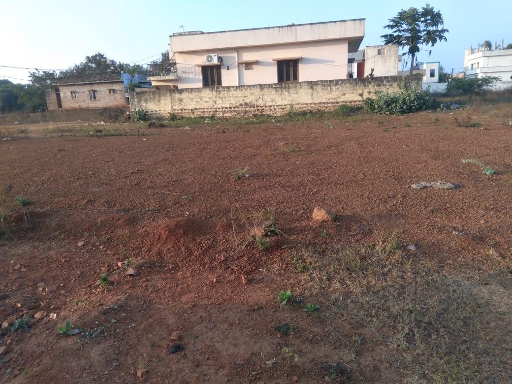 WhatsApp-Image-2023-02-20-at-7.24.59-AM