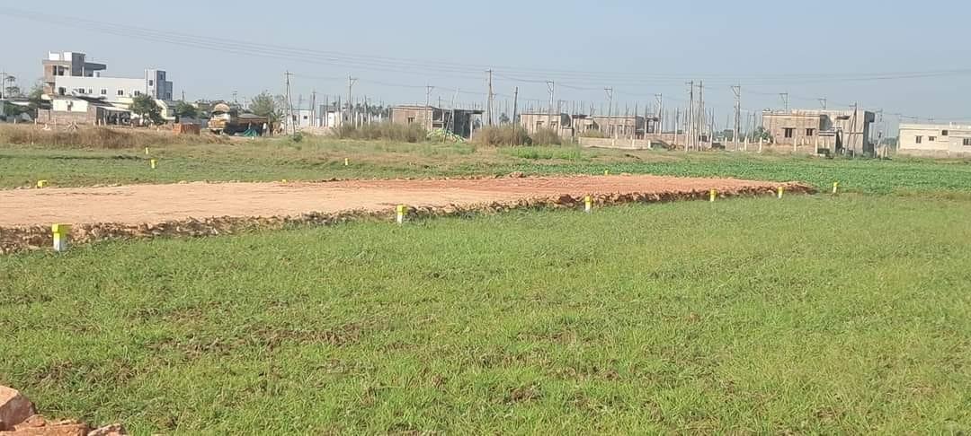 WhatsApp-Image-2023-02-21-at-12.19.53-PM